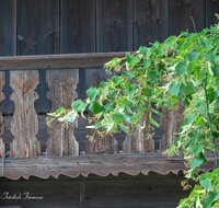fileadmin/roha/images_galerie/Architektur-Bundwerk/LANDA-BU-BALK-0004-D-roha-Landart-Balkon-Abtsdorf.jpg
