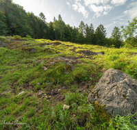 fileadmin/roha/images_galerie/Baum-natur-garten/Natur-Wildblumen-Landschaft/BL-BERG-WIESE-BUCK-1-5072-D-roha-Buckelwiese-Vorderettenberg.jpg