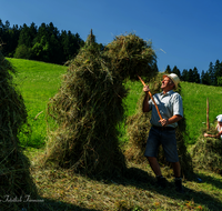 fileadmin/roha/images_galerie/orte_landschaft/Teisendorf/Neukirchen/Neukirchen-Koehler/LANDW-HEU-HIEF-1-1129-1-D-roha-Landwirtschaft-Heu-Ernte-Hiefel-Neukirchen.png