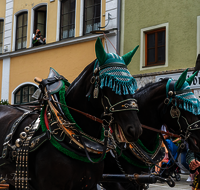 fileadmin/roha/Gautrachtenfest/Bilderglalerie/Gaufest-2023/Festsonntag/BR-GAUFEST-TEIS-2023-3-1206-04-D-roha-Tracht-Gaufest-Teisendorf.png