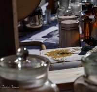 fileadmin/roha/images_galerie/arbeit_technik/BR-BIOESPH-TEIS-1-0910-2-D-roha-Teisendorf-Biosphaerentag.png