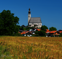 fileadmin/roha/images_galerie/orte_landschaft/Anger/Anger/AN-0022-1-10-D-roha-AN-0022-1-11-D-roha-Anger-Baum-Kirche-Getreide.png