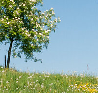 fileadmin/roha/Header-Unterseiten/SPO-MOUN-TEIS-FREID-0003-D-roha.jpg