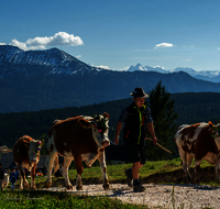 fileadmin/roha/images_galerie/brauchtum/Almabtrieb/Almabtrieb-Stoisser-Alm/BR-ALMAB-STOISS-2024-1415-1-D-roha-Brauchtum-Almabtrieb-Stoisseralm-Teisendorf-Anger..png