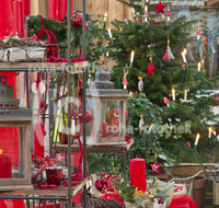 fileadmin/roha/images_galerie/Baum-natur-garten/Gaertnerei/LANDA-DEKO-WEIH-0021-D-roha-Landart-Deko-Weihnachten-Gaertnerei-Laterne_Kopie.jpg