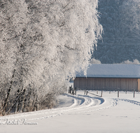 fileadmin/roha/images_galerie/Winter/WINT-TEI-UF-0004-D-roha-Winter-Teisendorf-Ufering-Stadel-Zaun-Weg-Eisenbahn-Schnee.png