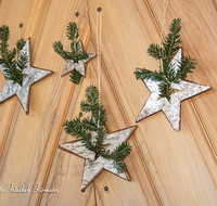 fileadmin/roha/images_galerie/brauchtum/Weihnachten/BR-WEIH-DEKO-0009-D-roha-Brauchtum-Weihnachten-Haustuer-Dekoration-Stern-Birkenrinde.png