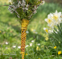fileadmin/roha/images_galerie/brauchtum/Ostern/BR-OST-PALM-0004-00-08-D-roha-Brauchtum-Ostern-Palmsonntag-Palmbesen-Buschen-Obstgarten-Narzissen.png