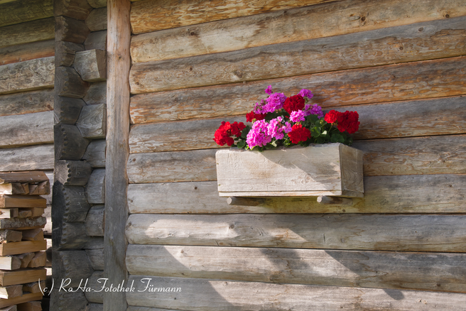 Haus - Blumenschmuck - Deko - RoHa Fotothek