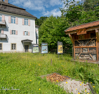 fileadmin/roha/images_galerie/orte_landschaft/Teisendorf/IN-Achthal/TEI-ACHT-0016-0-29-D-roha-Teisendorf-Achthal-Museum-Bienenhotel.png