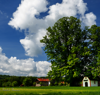 fileadmin/roha/images_galerie/kirche_religion/Teisendorf/KKKM-TEIS-KLEIN-RUECK-0010-1-D-roha-Kapelle-Kleinrueckstetten-Linde-Baum.png