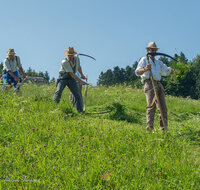 fileadmin/roha/images_galerie/Landwirtschaft/LANDW-HAND-SENS-NEUK-1-1114-3-D-roha-Landwirtschaft-Sense-Neukirchen.jpg