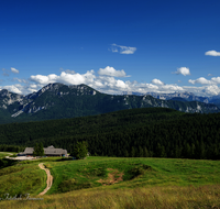 fileadmin/roha/images_galerie/orte_landschaft/Stoisser-Alm/TEI-STO-0021-01-D-roha-Teisendorf-Anger-Stoisseralm-Alm-Hochstaufen-Zwiesel.png