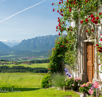 fileadmin/roha/images_galerie/orte_landschaft/Piding/LANDS-PID-0001-05-01-D-roha-Landschaft-Piding-Untersberg-Lattengebirge-Sechshoegl-Kapelle-Strobl-Alm-Strauchrose.png
