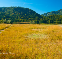 fileadmin/roha/images_galerie/orte_landschaft/Reit_im_Winkl/REIT-IM-WI-WEITS-0009-D-roha-Reit-im-winkl-Weitsee-Herbst-Wasser-See.png