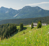 fileadmin/roha/images_galerie/orte_landschaft/Stoisser-Alm/TEI-STO-071-D-roha-Teisendorf-Anger-Stoisseralm-Hochstaufen-Zwiesel-Blumenwiese.jpg