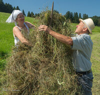 fileadmin/roha/images_galerie/Landwirtschaft/LANDW-HEU-HIEF-1-1124-1-D-roha--Landwirtschaft-Heu-Ernte-Hiefel-Neukirchen.jpg