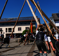 fileadmin/roha/images_galerie/brauchtum/Maibaum/Teisendorf/BR-MAIB-TEI-0101-2025-1507-01-D-roha-Brauchtum-Maibaum-Teisendorf.png
