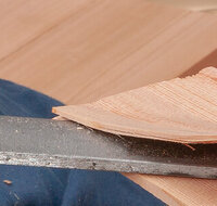fileadmin/roha/Header-Unterseiten/HAN-SCHINDLM-0001-D-roha.jpg