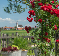 fileadmin/roha/images_galerie/Baum-natur-garten/Blumengarten-Blumen/TEI-WEI-ROSE-0003-D-roha-Weildorf-Kirche-Rosenbogen.jpg
