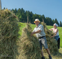 fileadmin/roha/images_galerie/Landwirtschaft/LANDW-HEU-HIEF-1-1118-1-D-roha-Landwirtschaft-Heu-Ernte-Hiefel-Neukirchen.jpg
