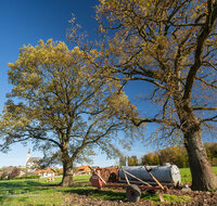 fileadmin/roha/images_galerie/orte_landschaft/Anger/Anger/AN-0020-14-D-roha-Anger-Kirche-Baum.jpg