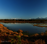 fileadmin/roha/images_galerie/orte_landschaft/Petting/Schoenramer-Moor/PE-SCHOENR-MOOR-0045-60-D-roha-Petting-Schoenramer-Moor-Moorsee-Hochstaufen.png