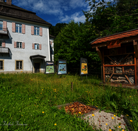 fileadmin/roha/images_galerie/orte_landschaft/Teisendorf/IN-Achthal/TEI-ACHT-0016-0-29-D-roha-Teisendorf-Achthal-Museum-Bienenhotel.png