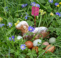 fileadmin/roha/images_galerie/brauchtum/Ostern/BR-OST-LAMM-EI-0004-D-roha-Brauchtum-Ostern-Osterlamm-Eier-Blumenwiese.png