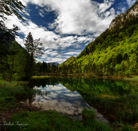 fileadmin/roha/images_galerie/orte_landschaft/Inzell/INZ-FALKS-0013-D-roha-Inzell-Falkensee-Wasser.png