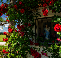 fileadmin/roha/images_galerie/kirche_religion/Ainring/KKKM-AINR-BACH-0024-5-D-roha-Kapelle-Ainring-Thundorf-Bach-Bank-Rose.png