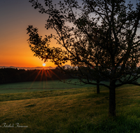 fileadmin/roha/downloads-rupertiwinkel/Sonne/Sonnenaufgang/SO-AU-TEI-GRAF-0001-D-roha-Sonnenaufgang-Teisendorf-Grafenberg.png