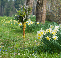 fileadmin/roha/images_galerie/brauchtum/Ostern/BR-OST-PALM-0004-00-01-D-roha-Brauchtum-Ostern-Palmsonntag-Palmbesen-Buschen-Obstgarten-Narzissen.png