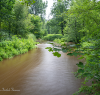 fileadmin/roha/images_galerie/wasser/LANDS-SAAL-SURH-SUR-0008-D-roha-Landschaft-Saaldorf-Surheim-Sur-Wasser-Fluss.png