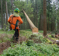 fileadmin/roha/images_galerie/Landwirtschaft/Forst-Holzknecht/HOLZKNE-0005-2025-1108-05-D-roha-Holzknecht-Teisenberg-Baum-Fichte-Motorsaege.jpg