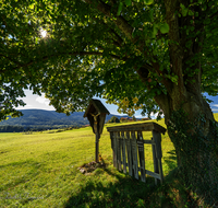fileadmin/roha/images_galerie/kirche_religion/Teisendorf/Freidling-Berg-Stoisseralm/KKKM-TEIS-BERG-0019-30-D-roha-Weg-Kreuz-Teisendorf-Brunnmeister-Bank-Baum-Totenbretter.png