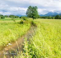 fileadmin/roha/images_galerie/orte_landschaft/Teisendorf/IN-LANDS-Teisendorf/LANDS-TEIS-0002-11-D-roha-Landschaft-Teisendorf-Karlsbach-Hochstaufen-Hochwasser.png