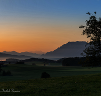 fileadmin/roha/images_galerie/stimmung-Sonne/STIM-TEIS-GRAF-0-0713-D-roha-Stimmung-Baum-Grafenberg-Untersberg.png