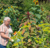 fileadmin/roha/images_galerie/Menschen/MEN-GART-BL-GEM-01-5577-D-roha-Menschen-Garten-Blumen-Gemuese.jpg