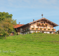 fileadmin/roha/images_galerie/architektur-Haeuser/PID-SECHSH-0004-D-roha-Piding-Sechshoegl-Kuehe-Bauernhaus.png