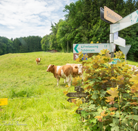 fileadmin/roha/images_galerie/wege/WEGE-PE-FUR-0003-D-roha-Wander-Rad-Weg-Petting-Beschilderung.png