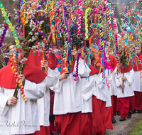 fileadmin/roha/images_galerie/brauchtum/Ostern/BR-OST-PALM-WEIH-RA-0737-07-D-roha-Brauchtum-Ostern-Palmsonntag-Palmweihe-Ministranten-Ramsau.png