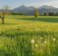 fileadmin/roha/images_galerie/orte_landschaft/Anger/Anger/Anger-Landschaft/LANDS-ANG-STEINH-0013-13-D-roha-Landschaft-Anger-Steinhoegl-Hochstaufen-Weg.jpg