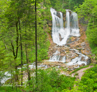 fileadmin/roha/images_galerie/wasser/SCHNEILZL-WEISSB-FALL-0005-D-roha-Schneizlreuth-Weissbachfall-Wasser-Wasserfall.png