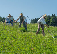 fileadmin/roha/images_galerie/Landwirtschaft/LANDW-HAND-SENS-NEUK-1-1114-2-D-roha-Landwirtschaft-Sense-Neukirchen.jpg