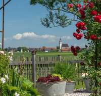 fileadmin/roha/Interessantes-in-Kurzform/ab-6-2026/TEI-WEI-ROSE-0002-D-roha.jpg