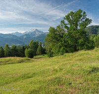 fileadmin/roha/images_galerie/Baum-natur-garten/Natur-Wildblumen-Landschaft/BL-BERG-WIESE-BUCK-3-7821-D-roha-Buckelwiese-Gerstreit.jpg