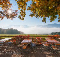 fileadmin/roha/images_galerie/orte_landschaft/Anger/Anger/Anger-Stimmung/AN-STROB-ALM-0001-D-roha-Anger-Strobl-Alm-Piding-Gastgarten-Herbst-Kastanie.png