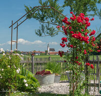 fileadmin/roha/images_galerie/orte_landschaft/Teisendorf/Weildorf/TEI-WEI-ROSE-0001-D-roha-Weildorf-Kirche-Rosenbogen.jpg