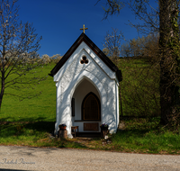 fileadmin/roha/images_galerie/kirche_religion/Oberteisendorf/KKKM-TEIS-OBERT-GRUE-0006-D-roha-Kapelle-Oberteisendorf-Gruebel.png